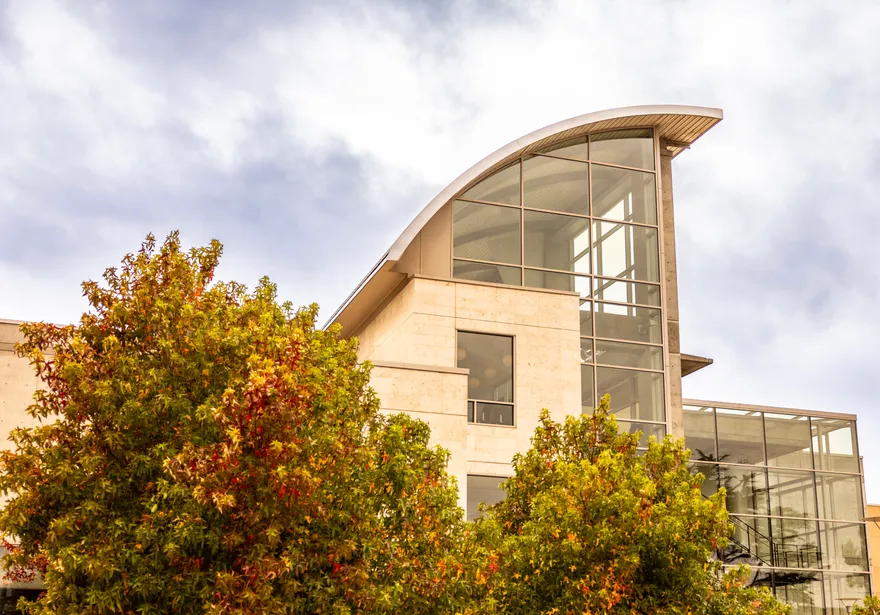 An exterior shot of the Tanimura and Antle Memorial Library with leafy trees in the foreground.