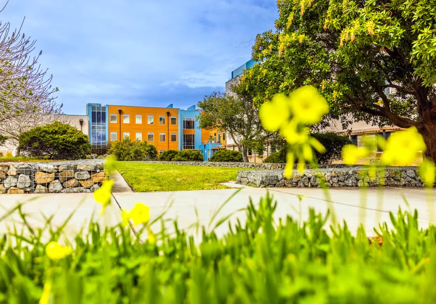 Orange and Blue colour building
