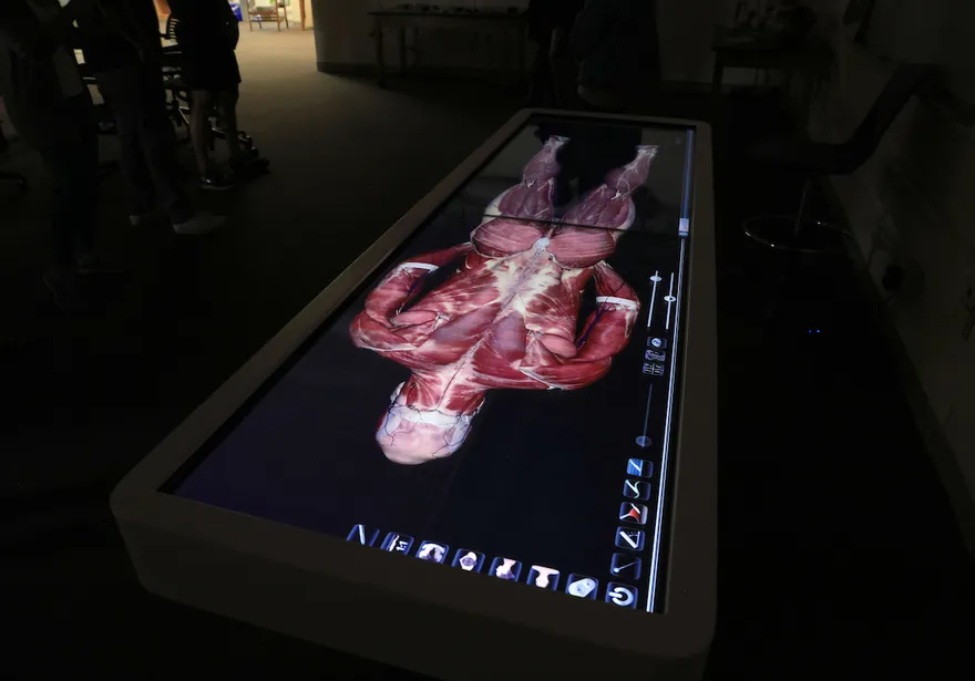 An interactive digital anatomy table displays detailed human musculature, supporting hands-on learning in a modern lab setting.
