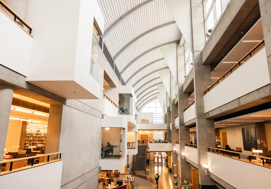 Image of inside the library