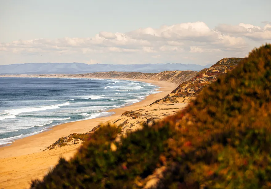 picture of the beach