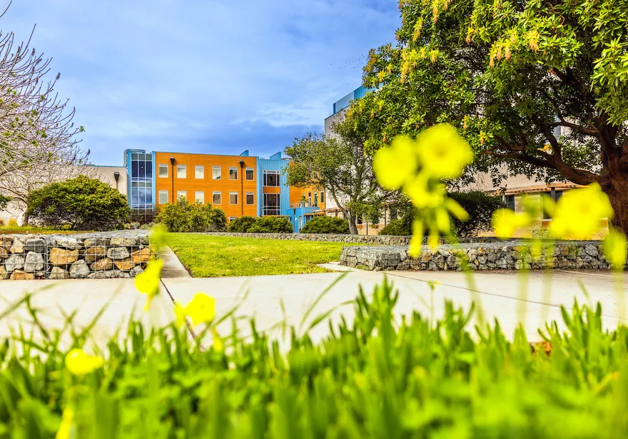 Orange and Blue colour building