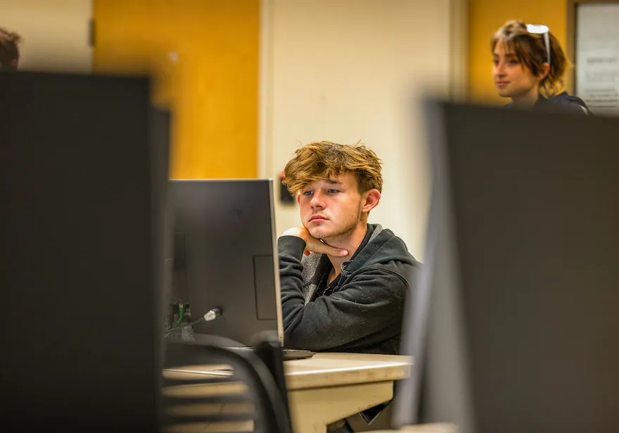 Student sitting at a desk looking at a computer