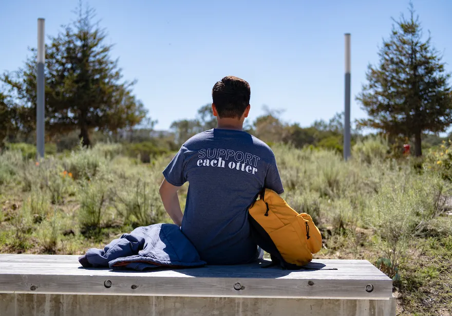 Mental health and wellness