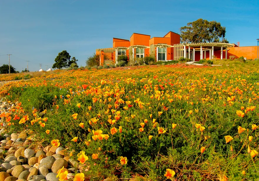 A landscape shot of the Alumni and Visitor Center