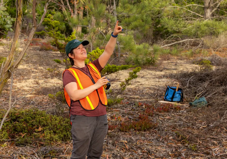 An AES student in a safety vest holding a surveying tool points up at a tree.