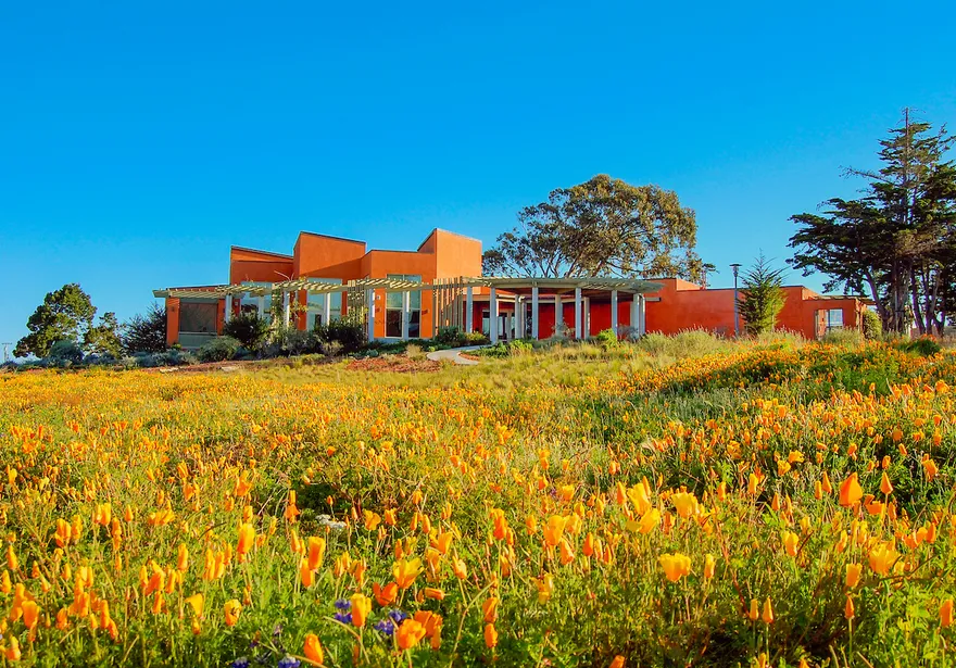 A photo of the AVC building