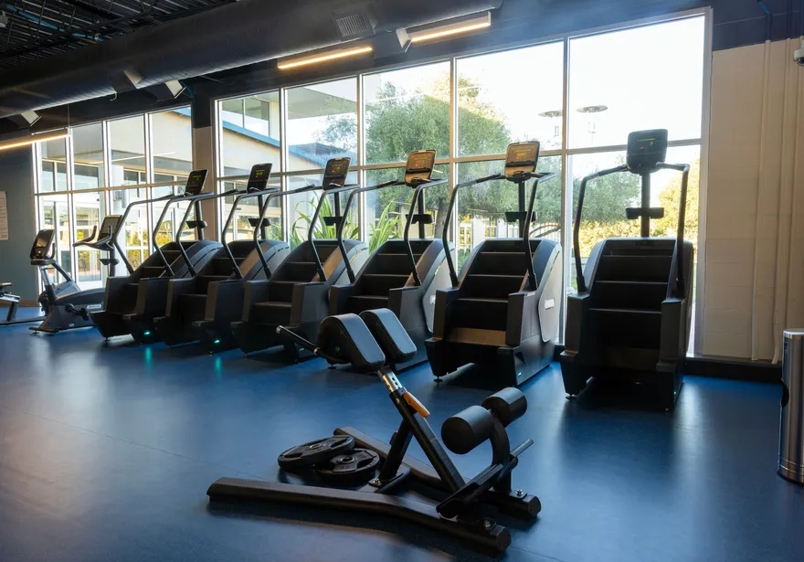 Row of stair-climbing cardio machines inside the CSUMB Fitness Center.
