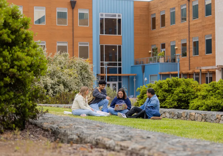 Four students sitting in grass studying