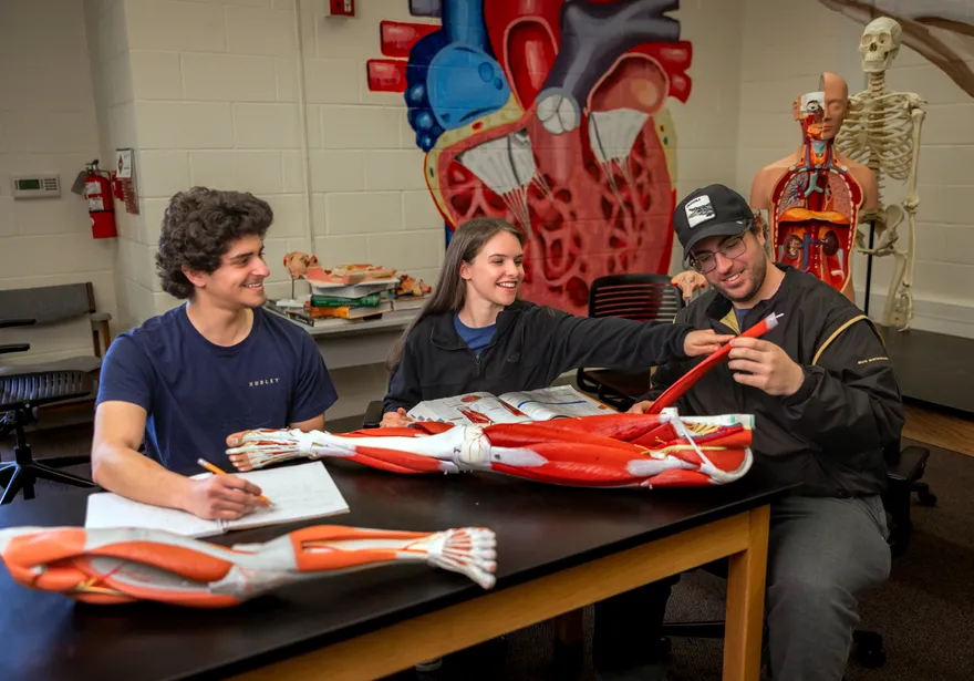 A group of students working together on a group project