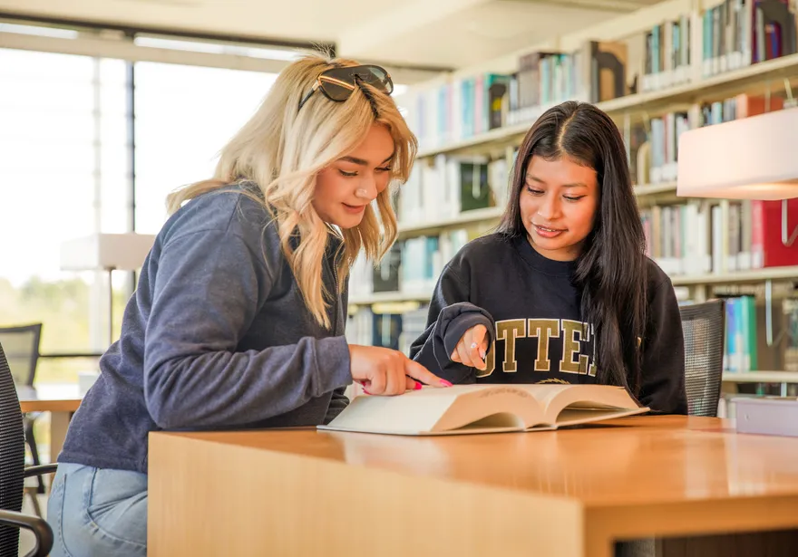 Two students studying in the library