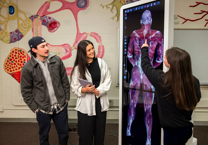 A student is giving a presentation using a digital anatomy board to two other students