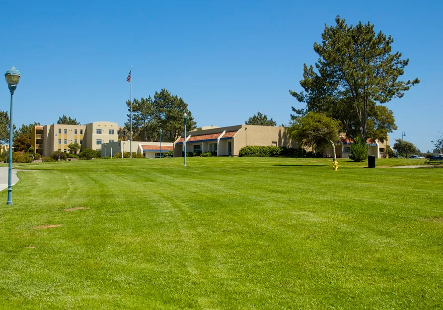 Green grass on the CSUMB Quad