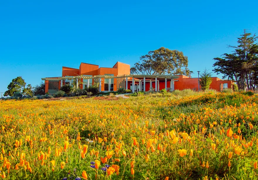 A photo of the AVC building